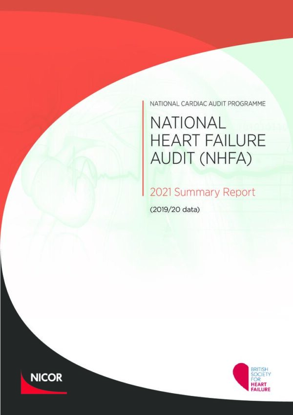 thumbnail of NHFA Domain Report_2021_FINAL