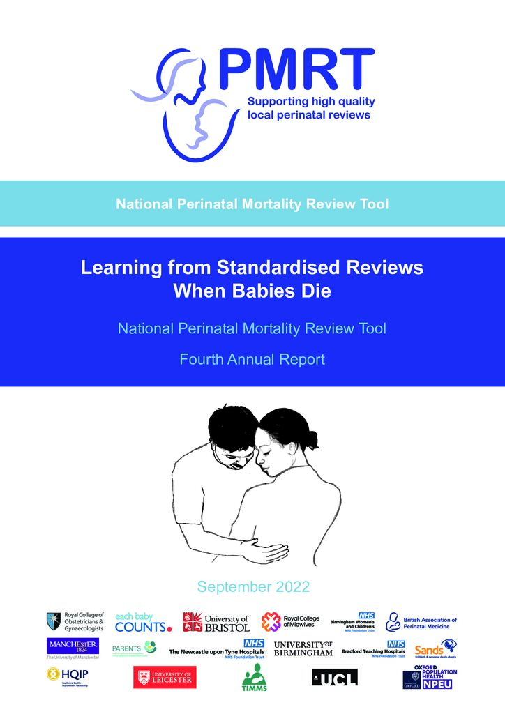 Perinatal Mortality Review Tool Annual Report