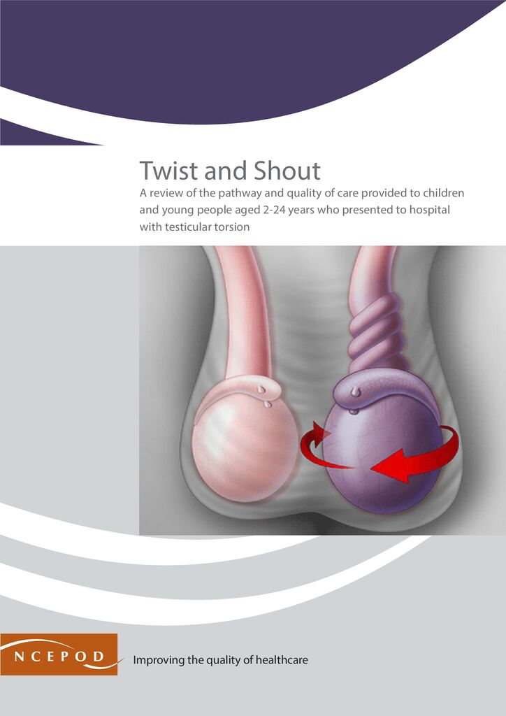 Twist and Shout: Review of care provided to children and young people with testicular torsion